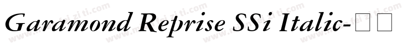 Garamond Reprise SSi Italic字体转换